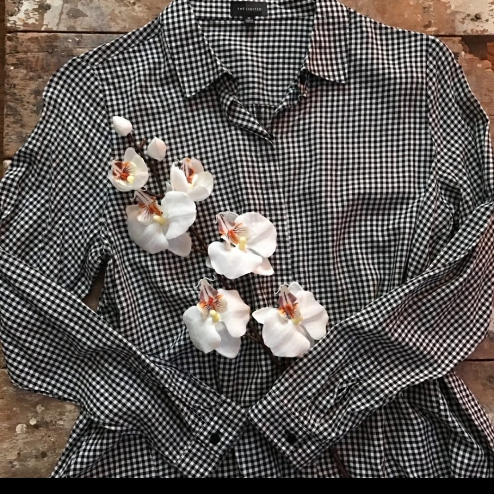 The Limited Gingham Button Down Blouse - image 1